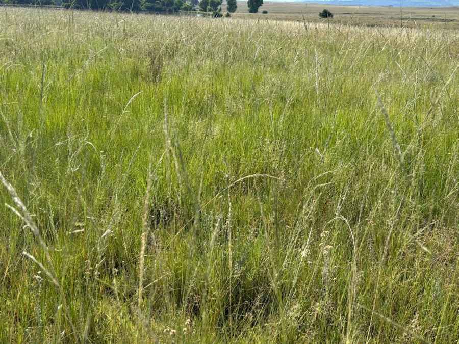 Commercial Property for Sale in Zastron Rural Free State